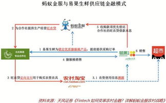 互聯(lián)網(wǎng)金融在三農(nóng)領(lǐng)域大有可為 互聯(lián)網(wǎng)銷(xiāo)售助力鄉(xiāng)村振興